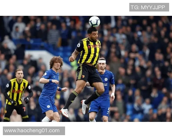 英冠焦点战维拉主场迎战布伦特期待精彩对决与激烈竞争