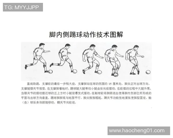 达努比奥与卡利的精彩对决揭示了足球战术的博弈与团队精神的较量